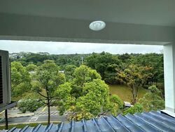 Blk 524 Bukit Batok Street 52 (Bukit Batok), HDB Executive #428407251